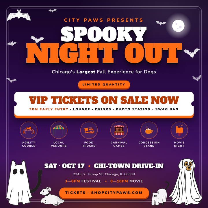 City Paws Spooky Night Out