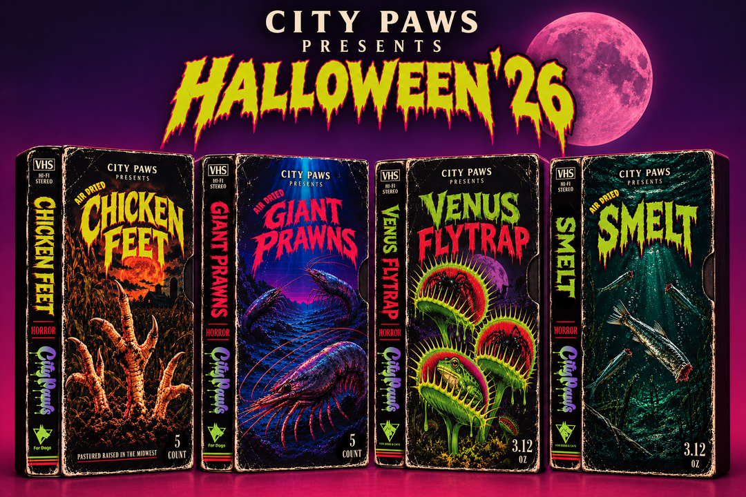 Halloween '26