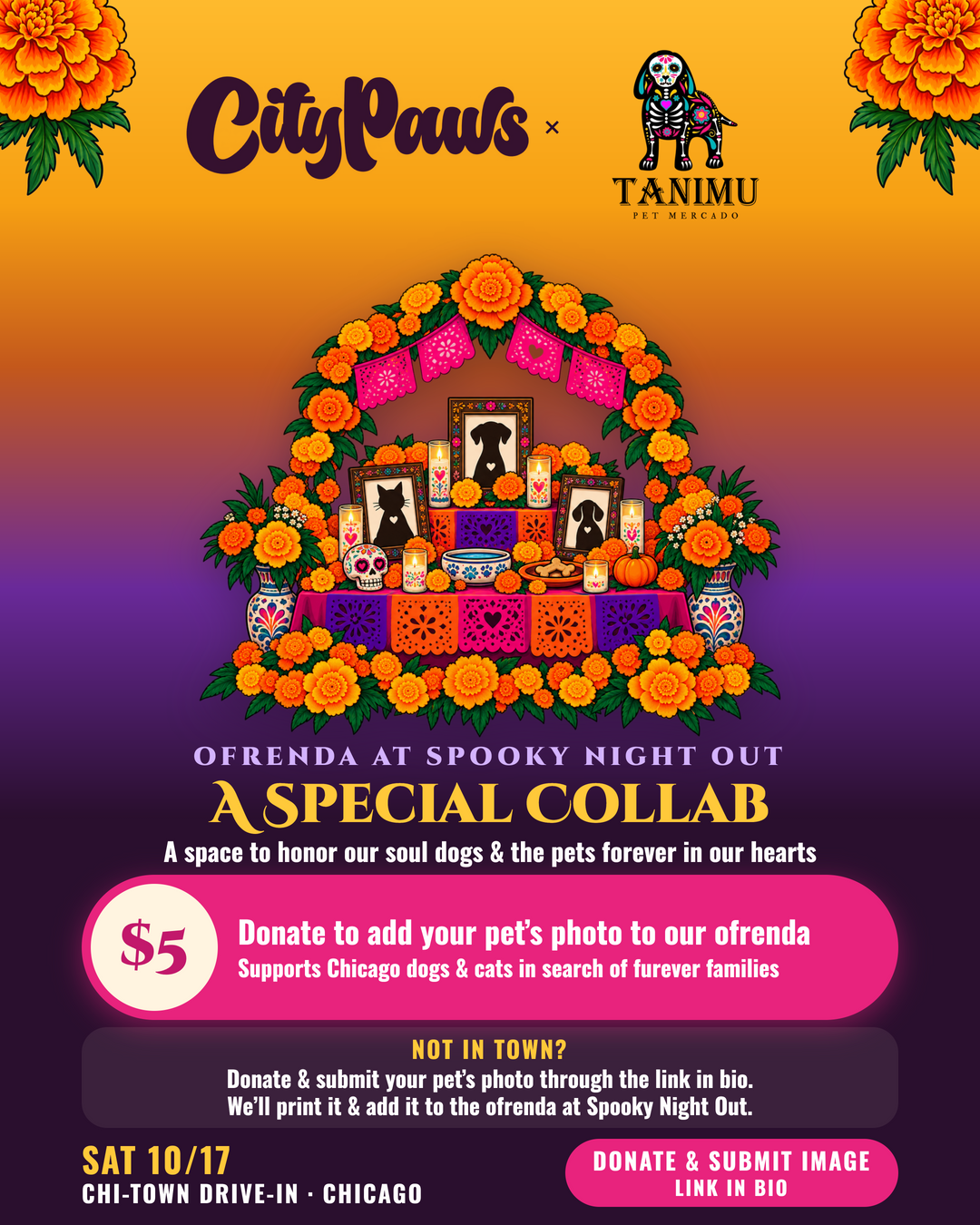 Ofrenda Donation