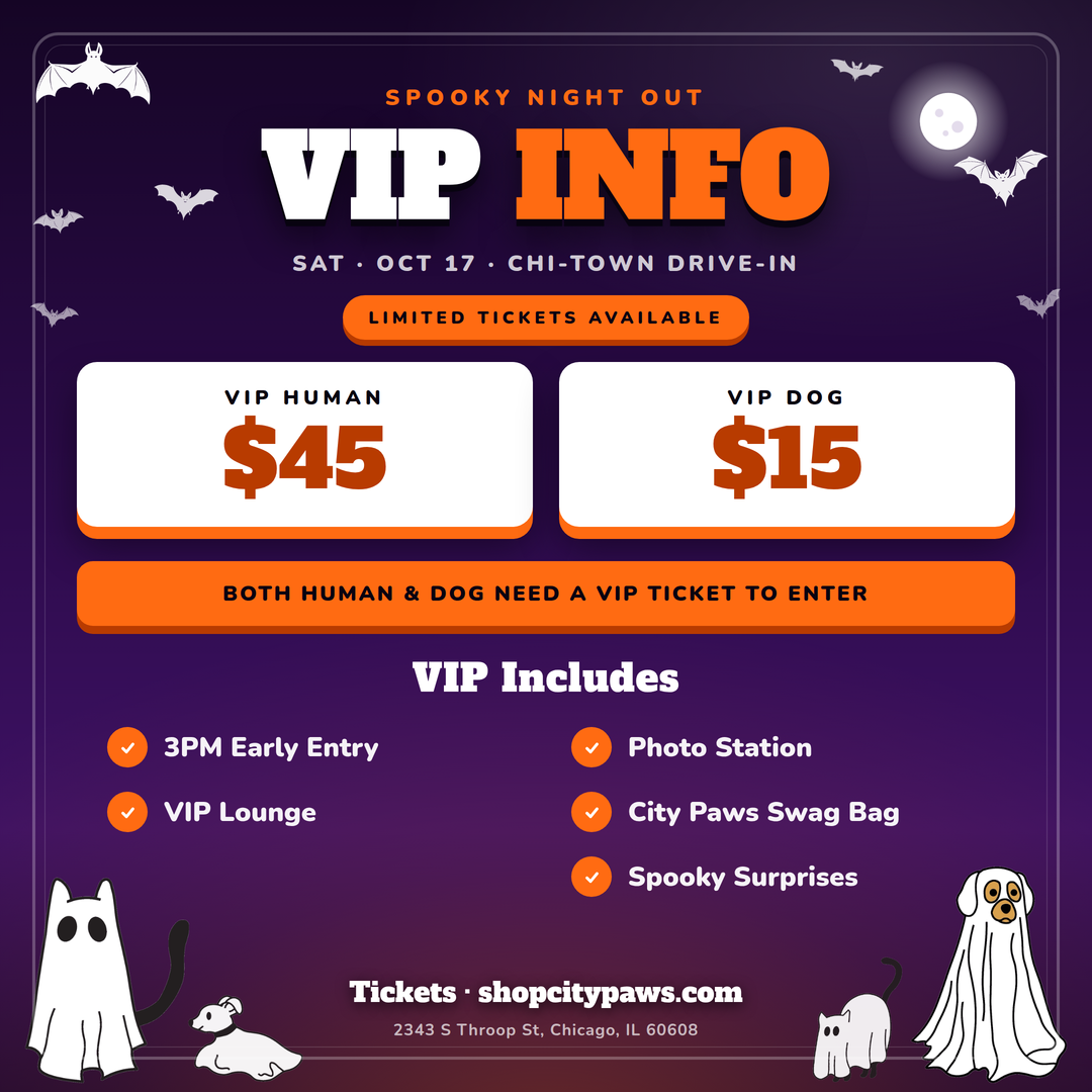 City Paws Spooky Night Out