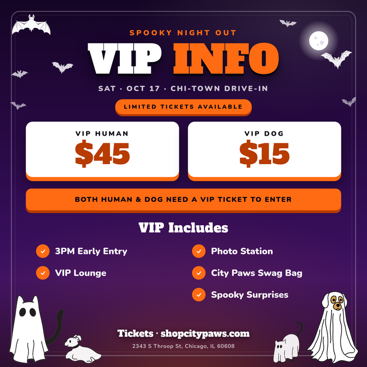 City Paws Spooky Night Out