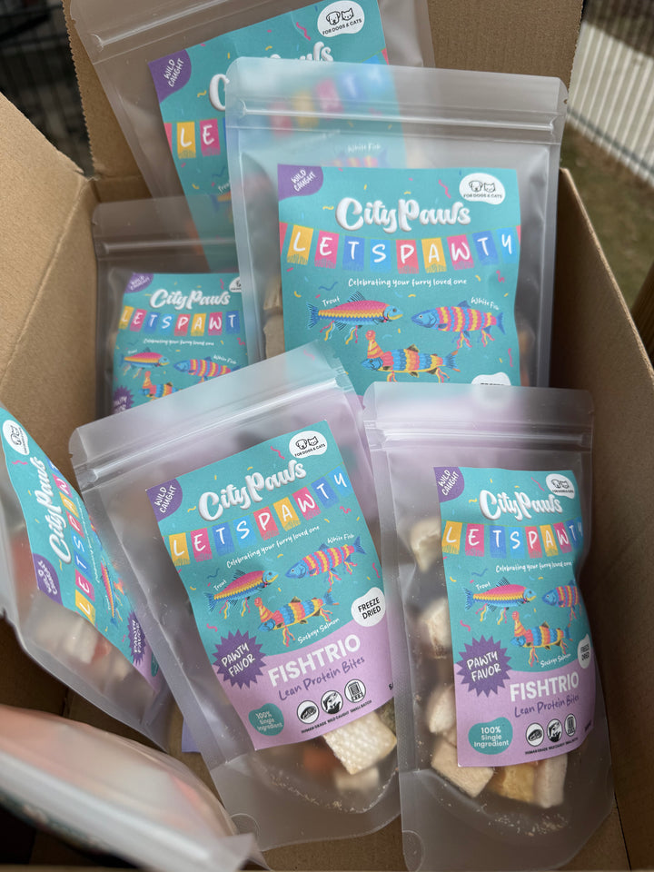 Birthday Pawty Collection