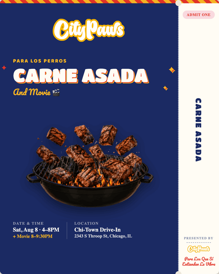 Pet Inspired Carne Asada
