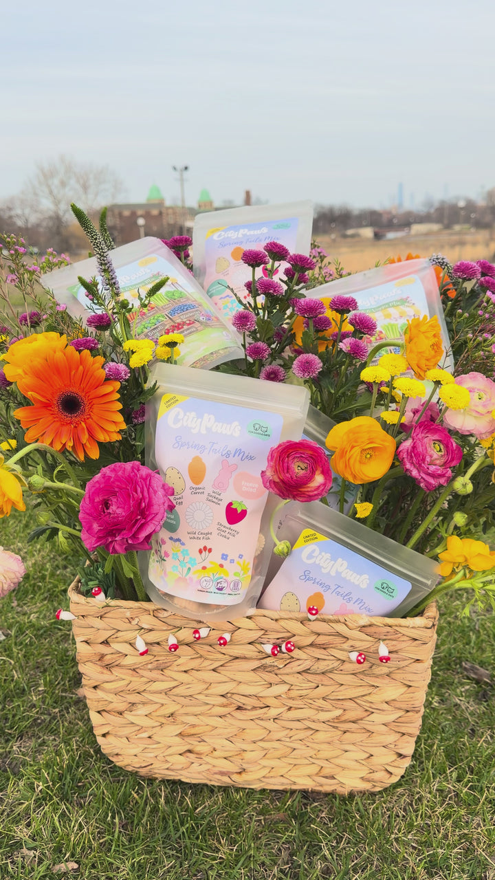 Spring Tails Mix and Fruit & Veggie Mix