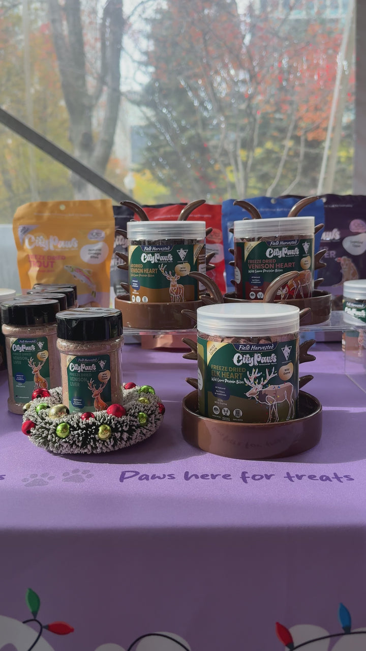 BLACK FRIDAY BUNDLE DEAL