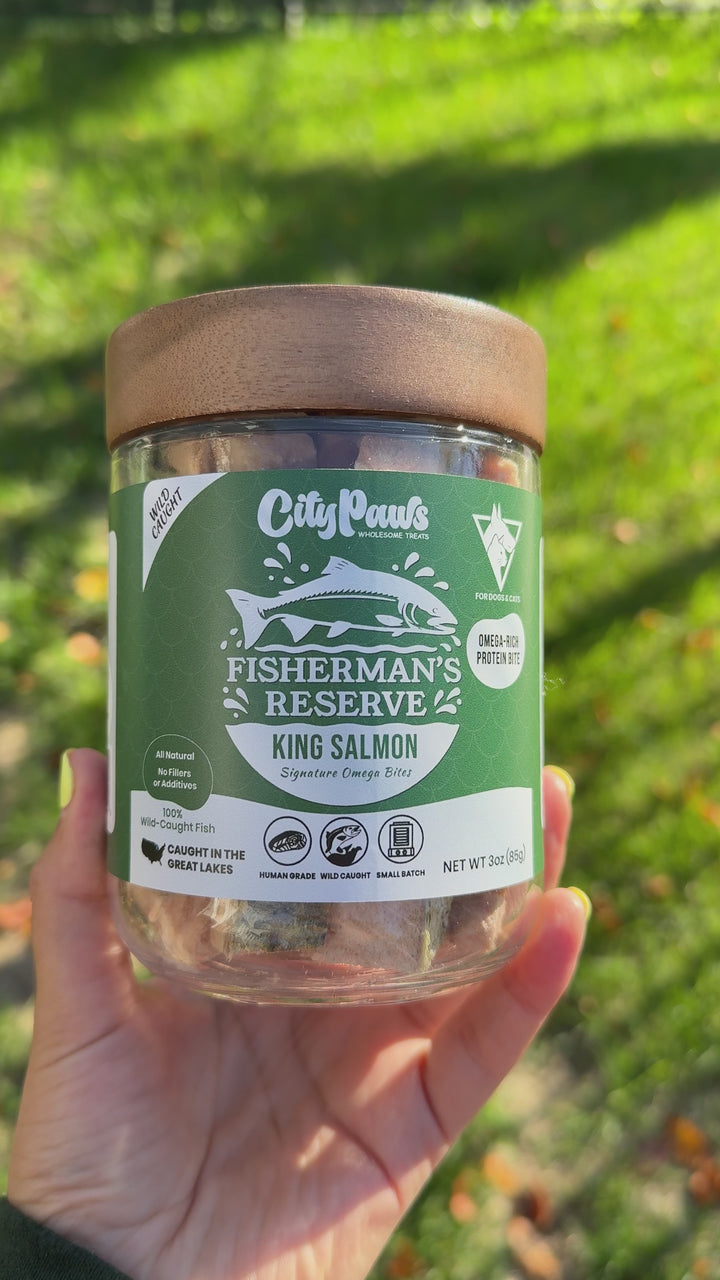 Wild Caught King Salmon