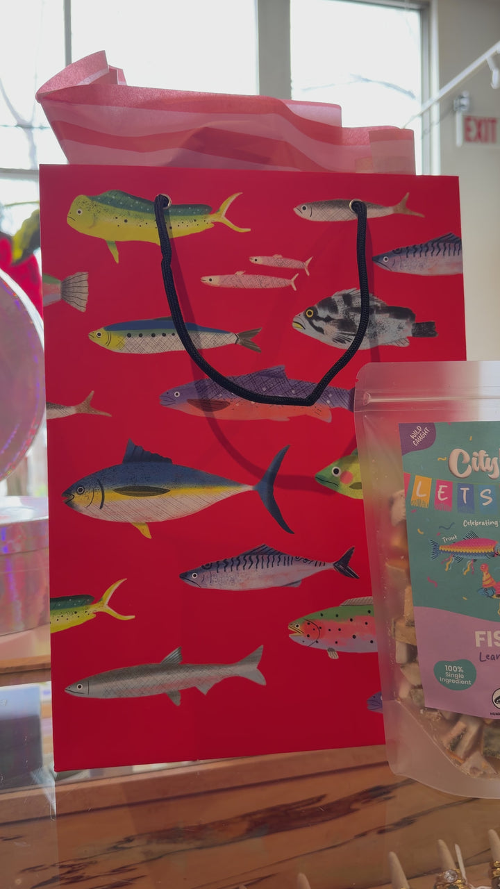 Birthday Pawty Collection